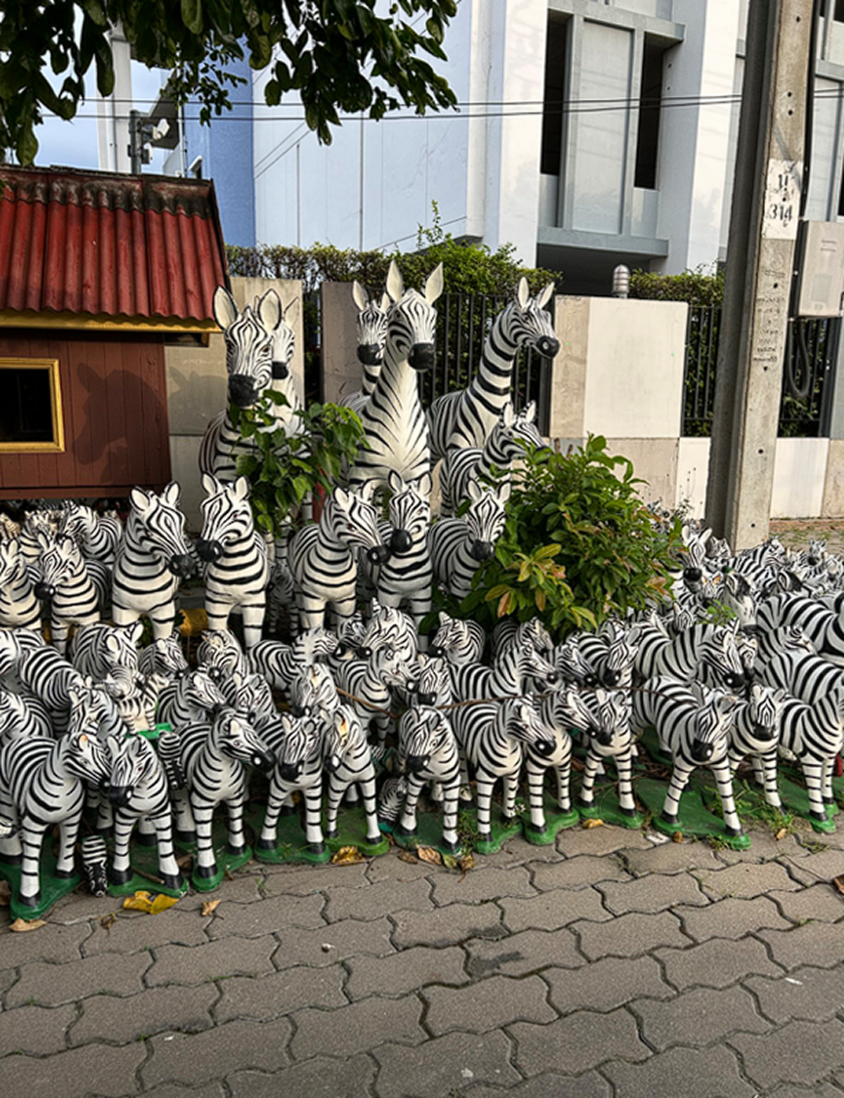 The Bangkok Herd: Where Myth Meets Street – zebra-sutra